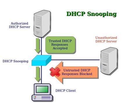 dhcp snooping